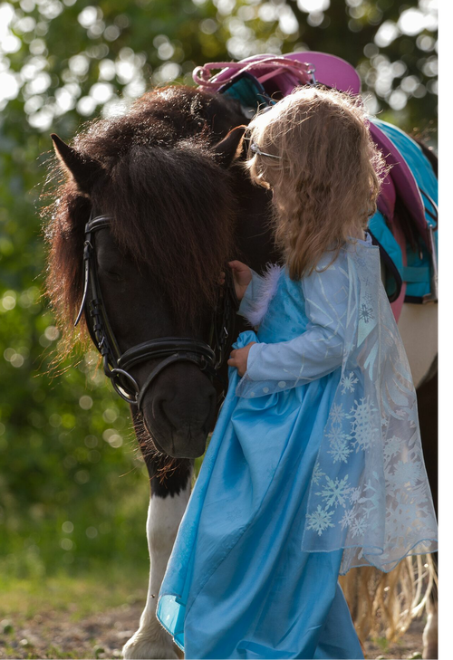 Shetty mit Kind