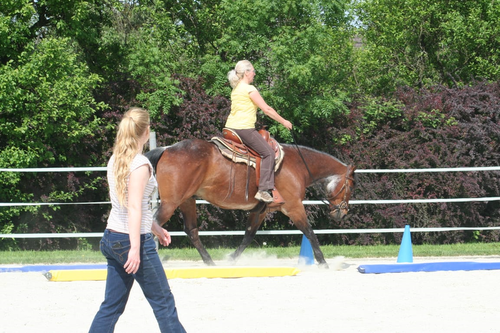 Ich gebe einem Reitschüler auf seinem Pferd Anleitung